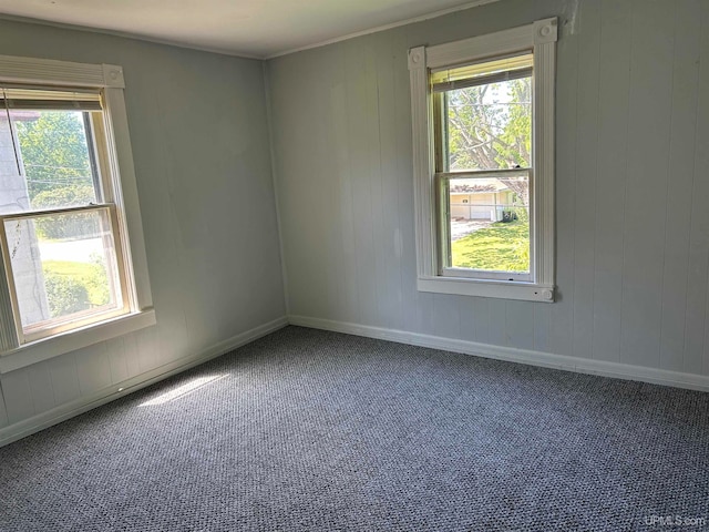 unfurnished room featuring carpet flooring and plenty of natural light