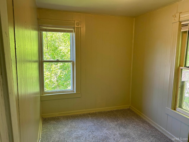 spare room with a healthy amount of sunlight and carpet flooring