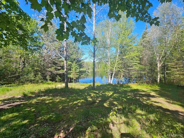 view of yard featuring a water view