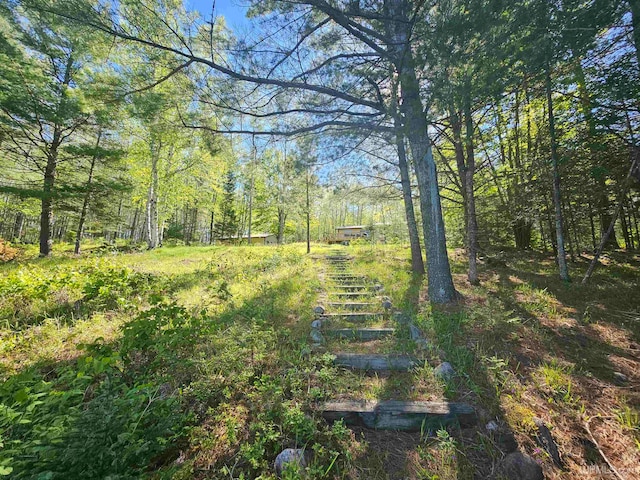 view of local wilderness