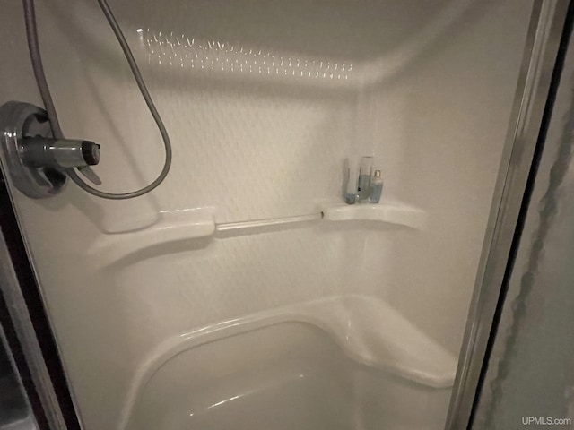 interior details featuring a shower