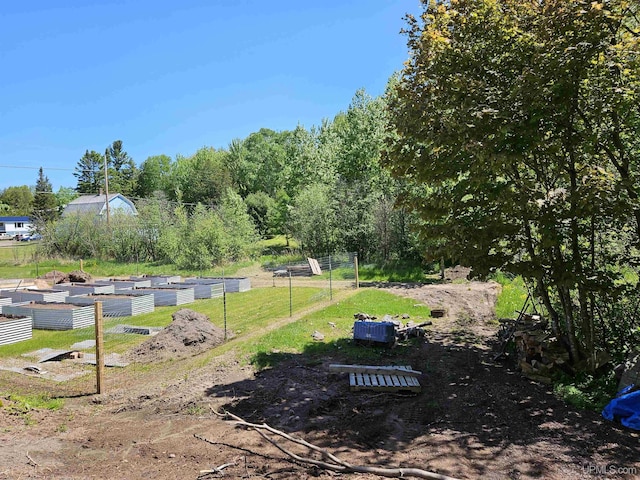 view of yard with a garden