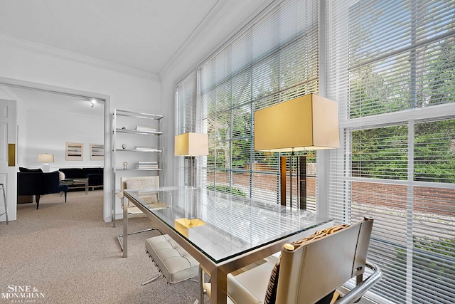 dining room with carpet floors and ornamental molding