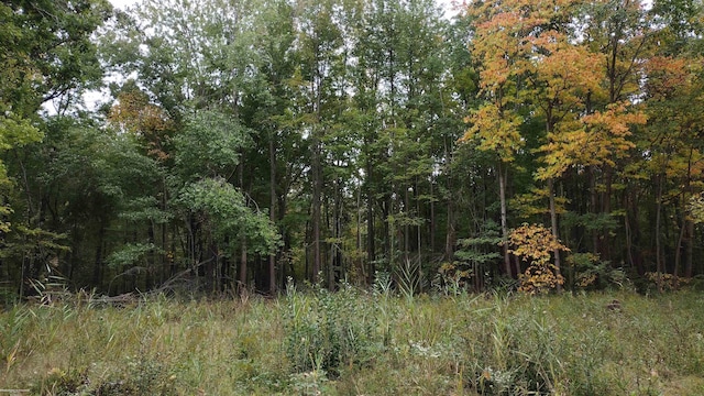 11587 Grames Rd, Milan MI, 48160 land for sale