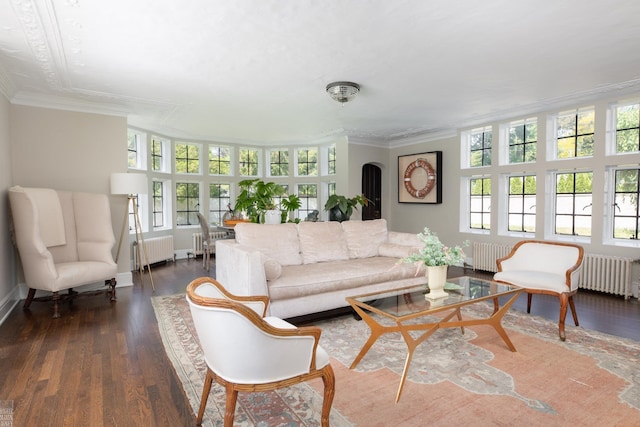 living area featuring ornamental molding, dark wood finished floors, and radiator