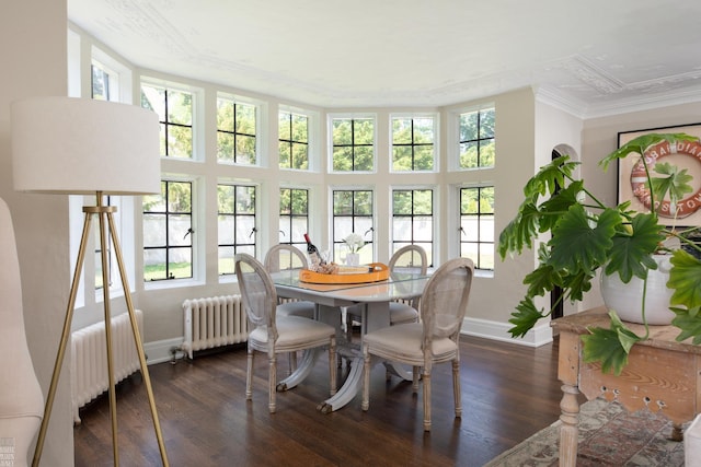 sunroom / solarium featuring radiator heating unit