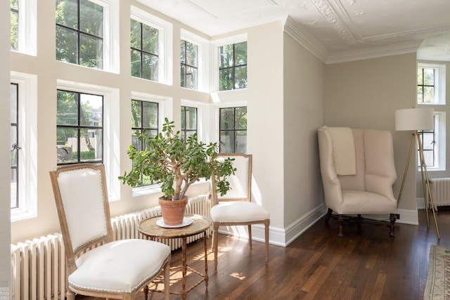 living area featuring dark wood-type flooring, radiator heating unit, and baseboards