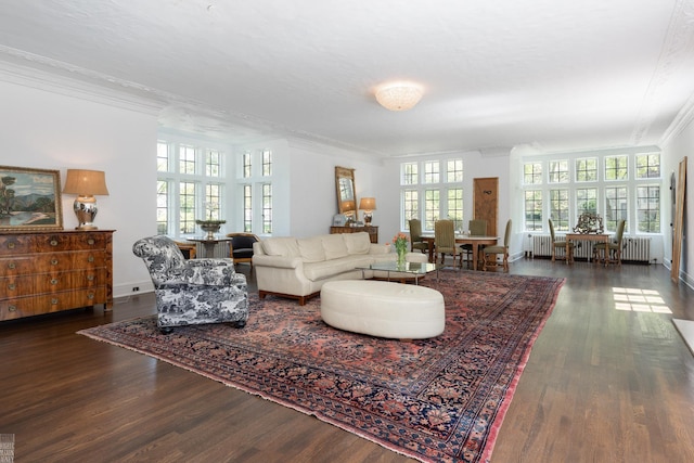 living room featuring radiator, baseboards, crown molding, and wood finished floors