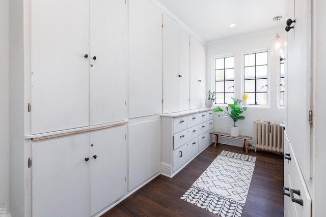 interior space with radiator heating unit and dark wood finished floors