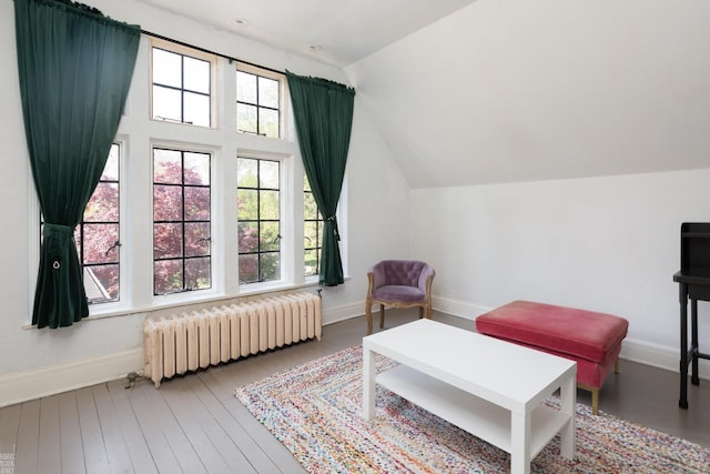 living area with radiator, vaulted ceiling, baseboards, and hardwood / wood-style flooring