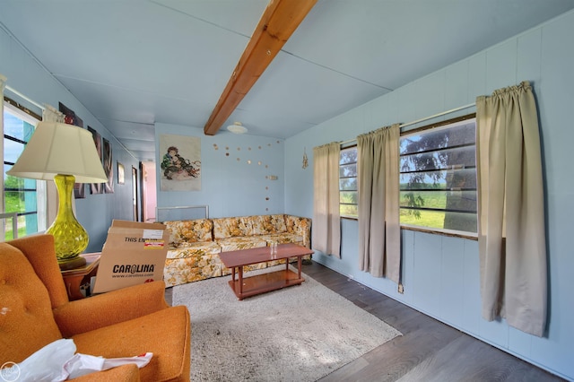 living room with beam ceiling, dark hardwood / wood-style floors, and a wealth of natural light