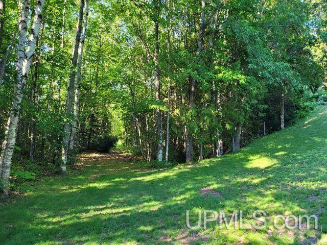 view of yard featuring a forest view