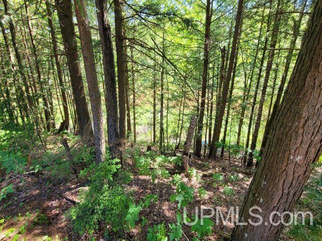 view of local wilderness featuring a wooded view