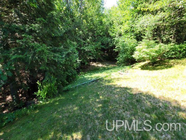 view of yard with a wooded view