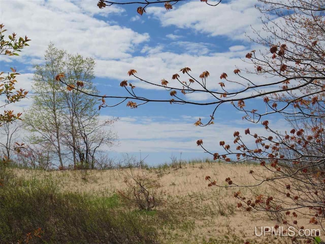 view of nature