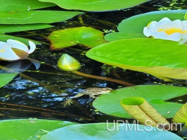 details featuring a small pond