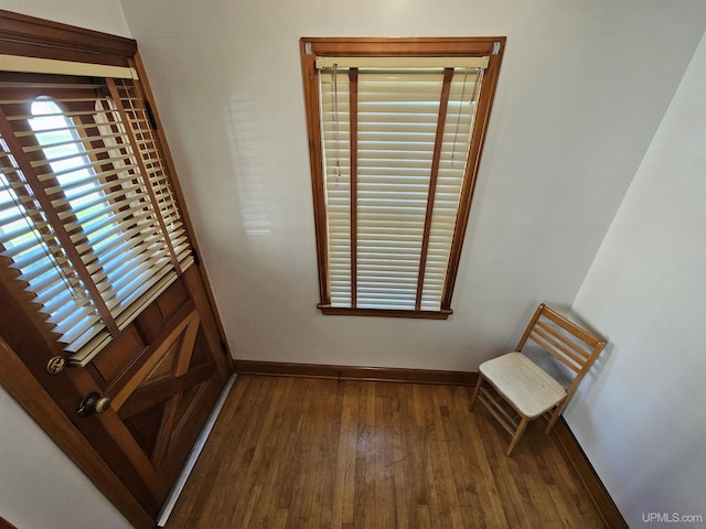 spare room with a wealth of natural light and dark hardwood / wood-style flooring