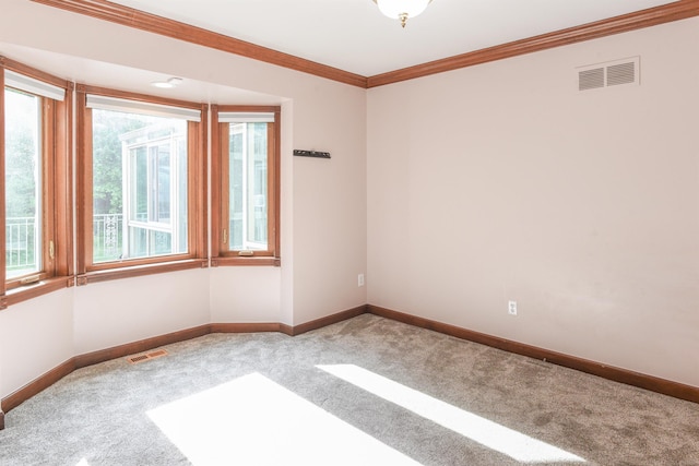 spare room with ornamental molding and carpet floors