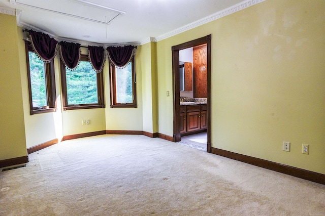 unfurnished room with sink, ornamental molding, and carpet