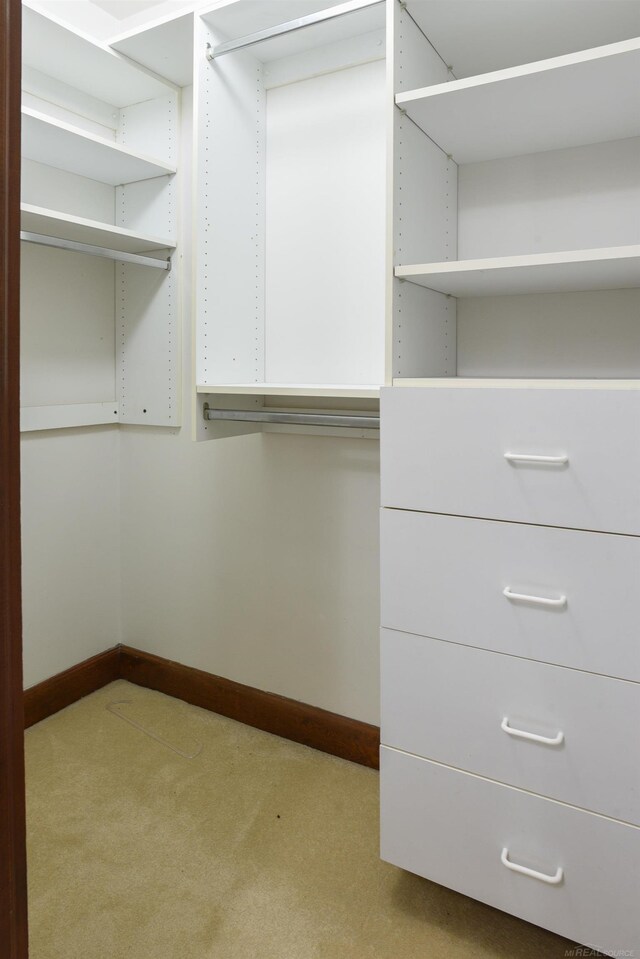 spacious closet with light carpet