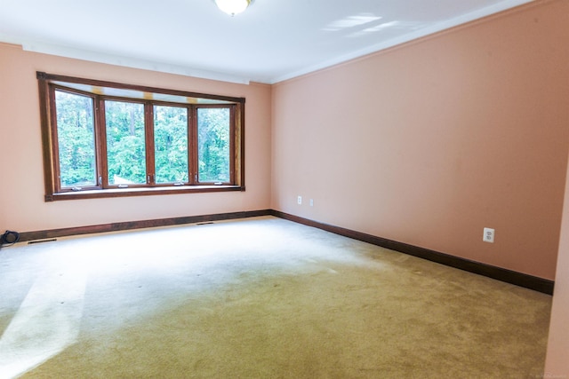 carpeted spare room featuring ornamental molding