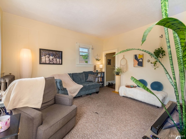 living room with radiator heating unit and carpet floors