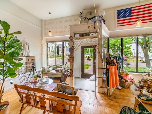 dining space featuring plenty of natural light and hardwood / wood-style flooring