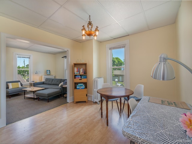 dining space featuring radiator heating unit, hardwood / wood-style flooring, a drop ceiling, and a notable chandelier