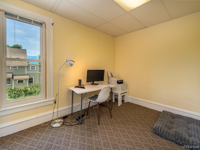 carpeted office space featuring a drop ceiling