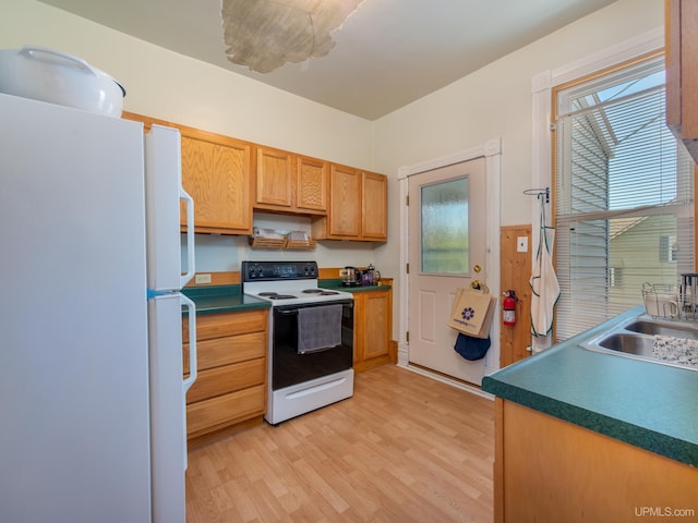 kitchen featuring sink, white appliances, and light wood-type flooring