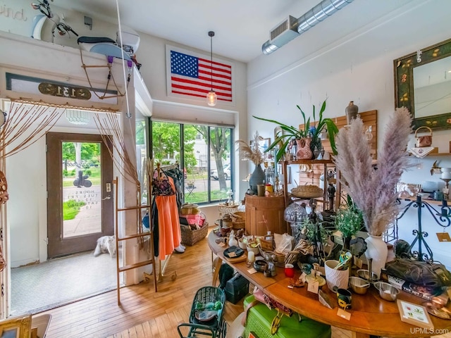 interior space featuring hardwood / wood-style flooring