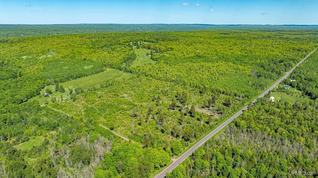 TBD1 Pelkie Rd, Pelkie MI, 49958 land for sale