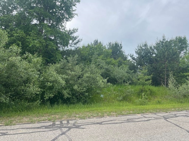 185 Lexington Ave, Gladwin MI, 48624 land for sale