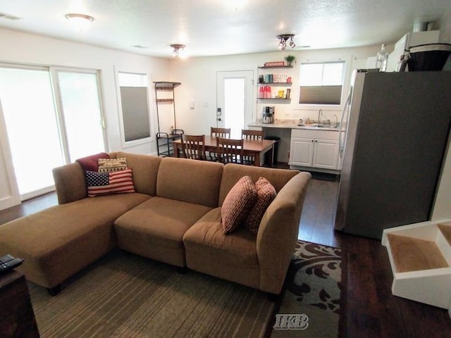 living room featuring dark hardwood / wood-style floors and sink