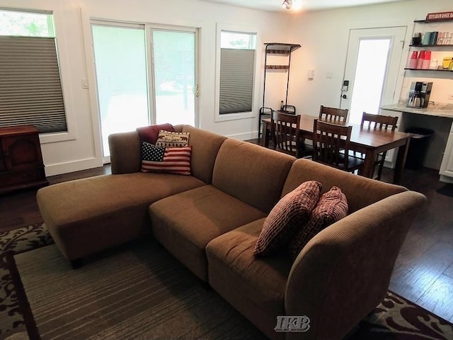 living room with dark hardwood / wood-style floors