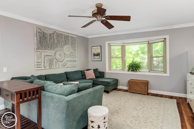 living room featuring ceiling fan, hardwood / wood-style floors, and ornamental molding