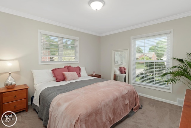 carpeted bedroom with multiple windows and crown molding