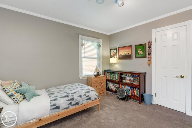 carpeted bedroom with crown molding