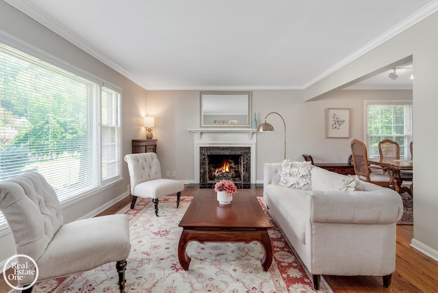 living room with a premium fireplace, crown molding, and light hardwood / wood-style floors