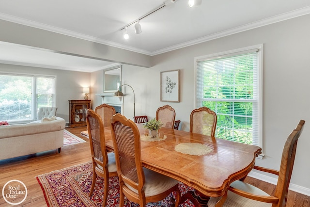 dining space featuring light hardwood / wood-style floors, track lighting, and ornamental molding