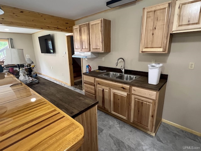 kitchen featuring sink