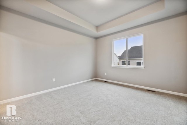 carpeted spare room with a raised ceiling