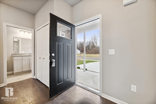 entrance foyer featuring sink and dark wood-type flooring