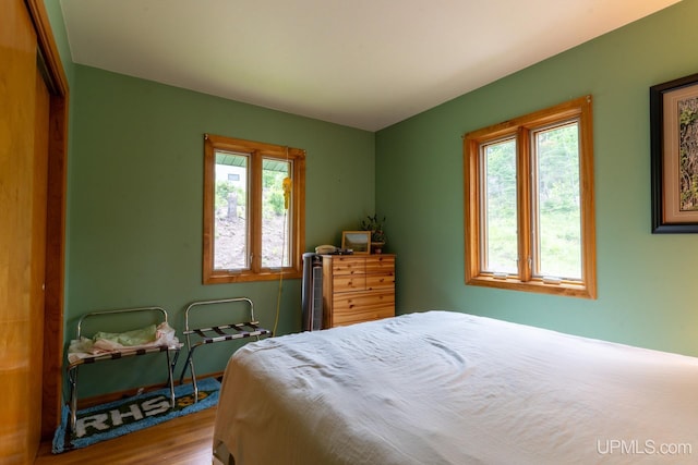 bedroom featuring wood-type flooring and a closet