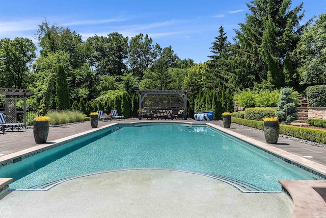 view of pool with a patio area and a pergola