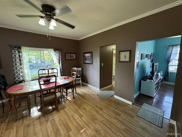 dining area with wood-type flooring, ceiling fan, and ornamental molding