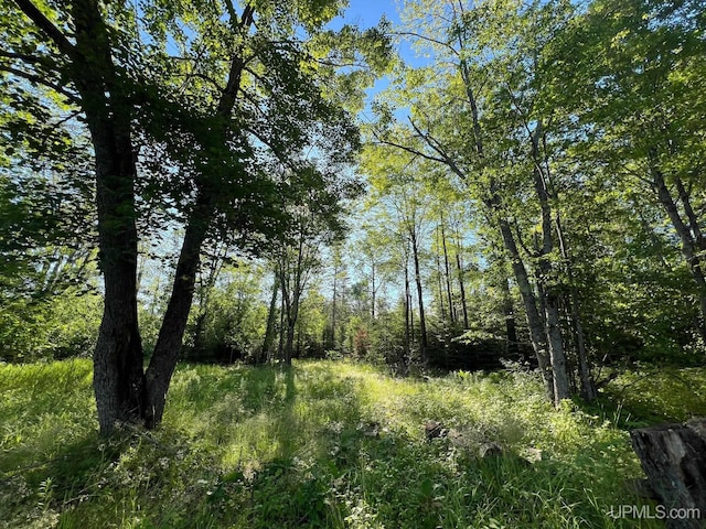 view of landscape