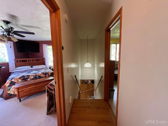 bedroom featuring a textured ceiling, multiple windows, and carpet