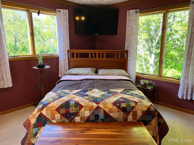 bedroom with multiple windows, carpet flooring, and baseboards