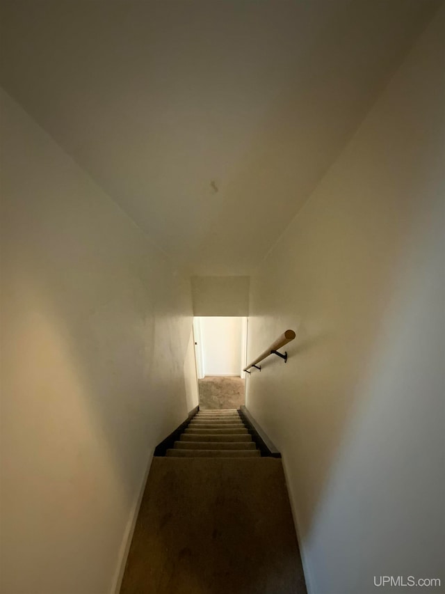 staircase with carpet flooring